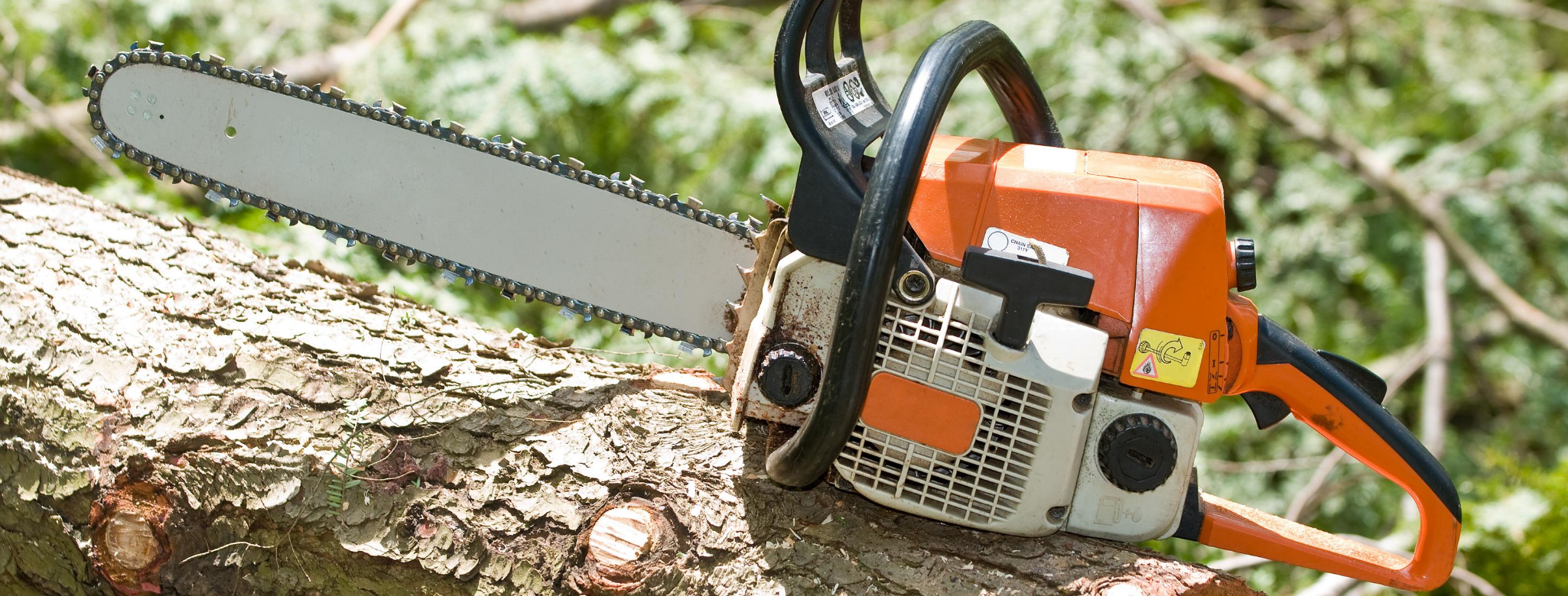 chainsaw safety