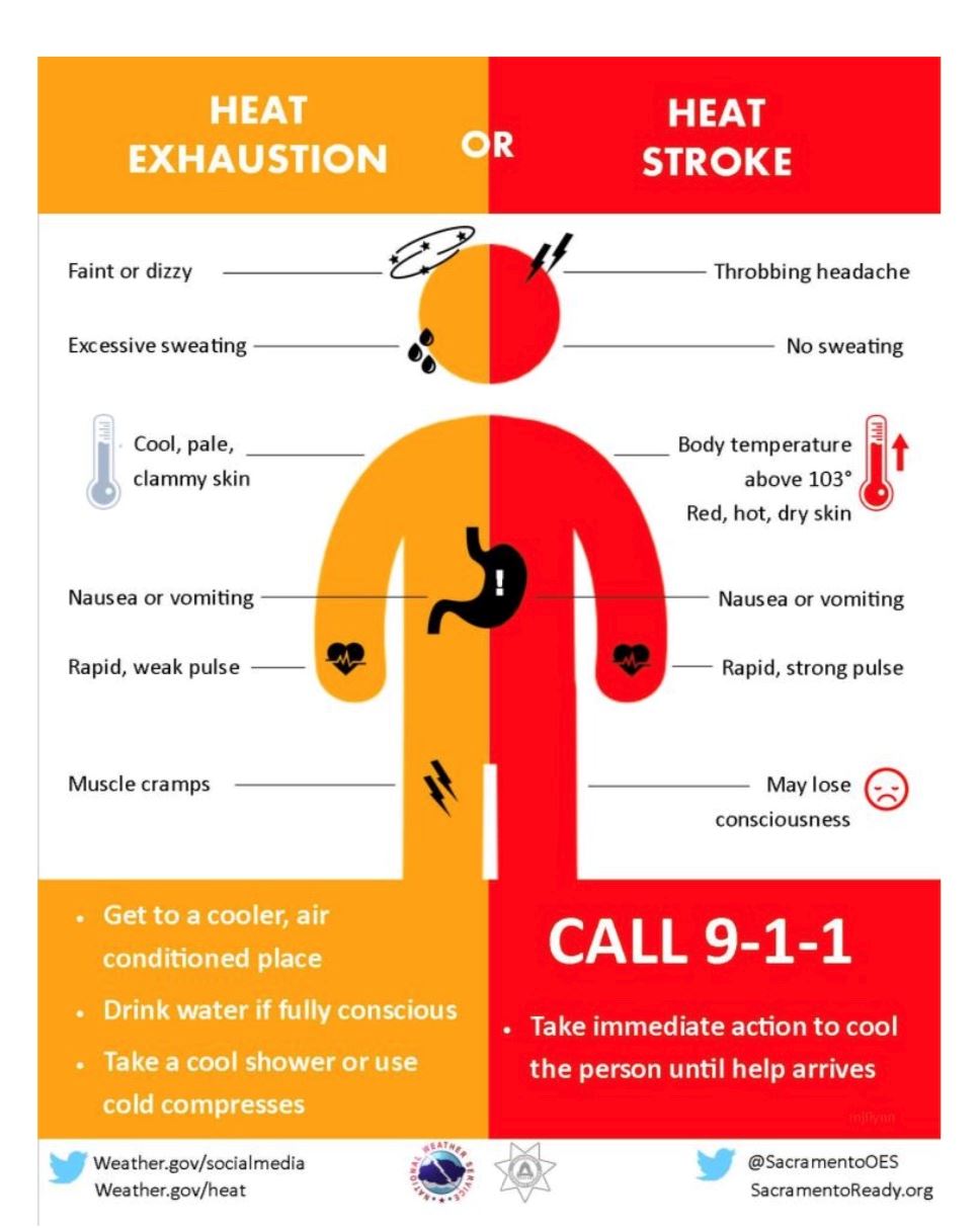 heat exhuastion or heat stroke